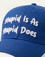 BUBBA GUMP | Stupid Is As Stupid Does Embroidery | CAP