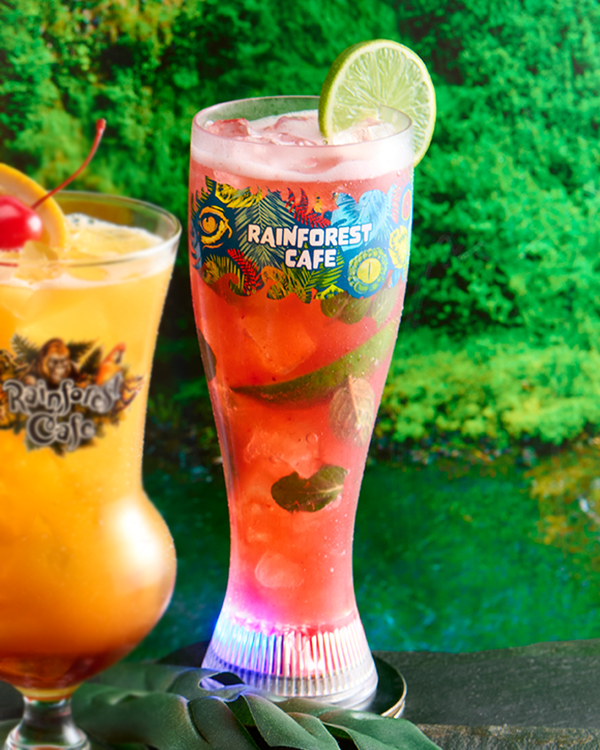 Rainforest Cafe | Jungle Eyes | Projector Cup