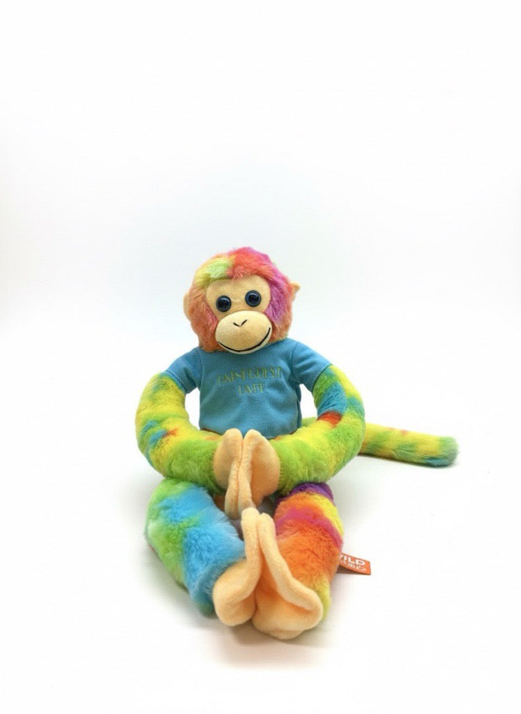 Rainforest Cafe | Hanging Rainbow Monkey | 20" Plush