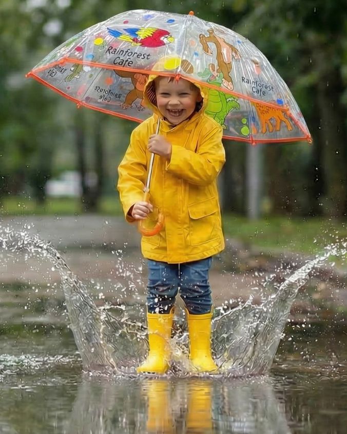 Rainforest Cafe | Wild Bunch | Umbrella