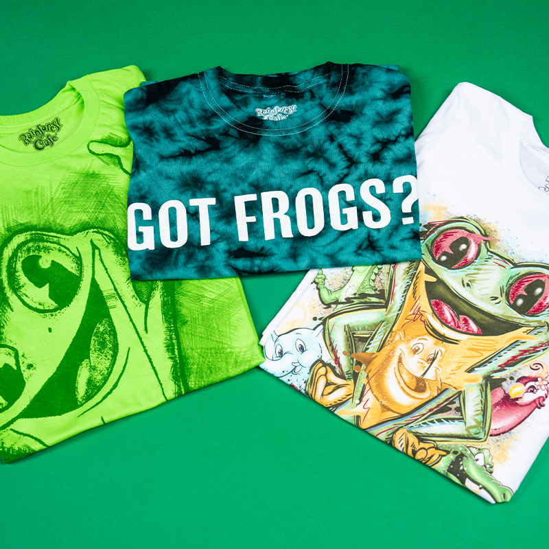 Three t-shirts with frog designs are spread out on a green background. The leftmost t-shirt is lime green with a sketch of frog. The center t-shirt is dark green and blue with a tie-dye effect and features the text ‘GOT FROGS?’ in bold, white letters. The rightmost t-shirt is white and has a colorful graphic of a cartoon frog with hands on hip.